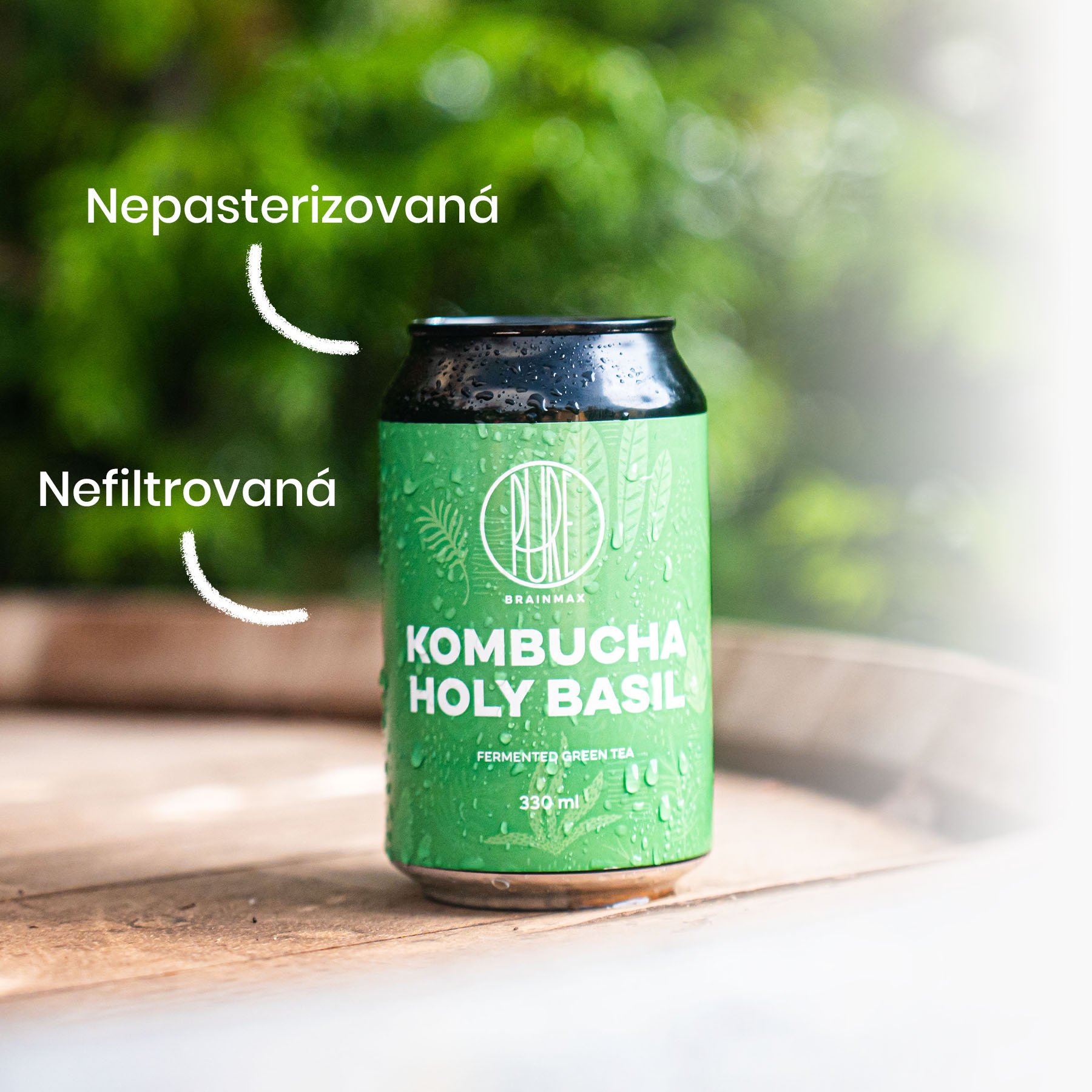 kombucha szczegółowo bazylia